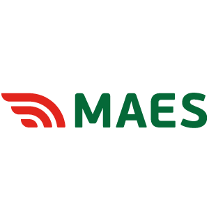 Logo MAES