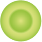 Logo Veritas